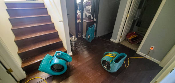 Best Water damage restoration mold remediation  in Channel Islands Beach, CA