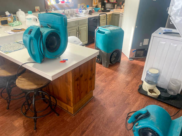 Best Basement water damage restoration  in Channel Islands Beach, CA