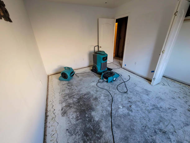 Best Flood damage cleanup  in Channel Islands Beach, CA