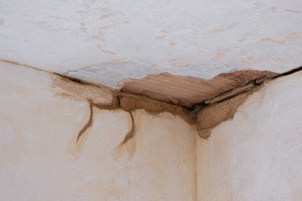 Best Water damage contractors near me  in Channel Islands Beach, CA