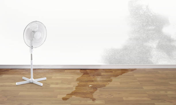 Best 24/7 water damage repair  in Channel Islands Beach, CA