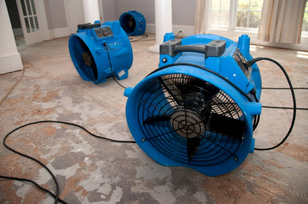 Best Fire Damage Restoration  in Channel Islands Beach, CA