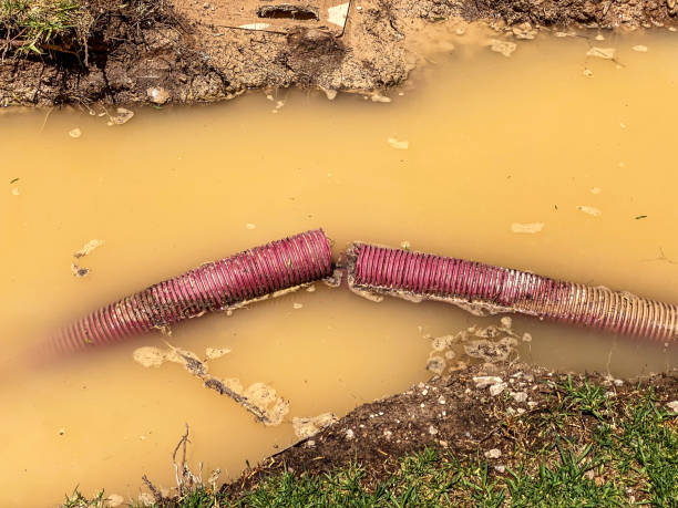 Best Professional water damage repair  in Channel Islands Beach, CA
