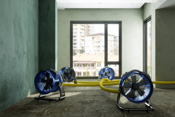 Best Flood restoration services  in Channel Islands Beach, CA